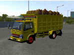 Truck Dump Muatan Sawit